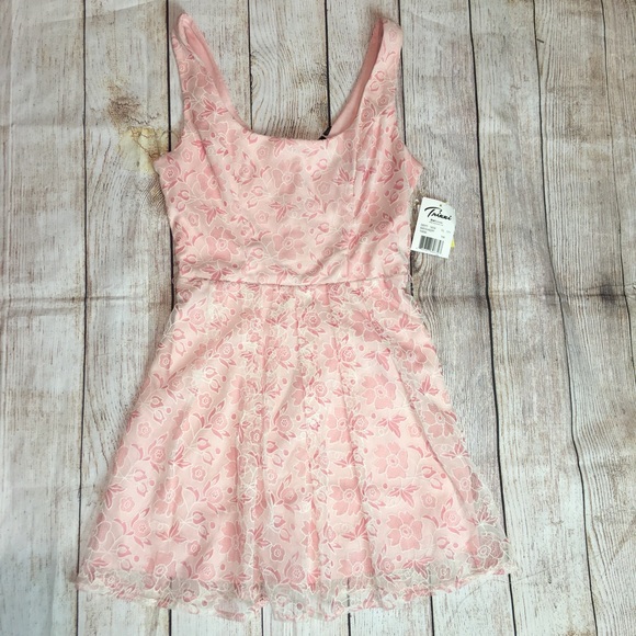 Trixxi NWT Lace High Waist Sleeveless Dress - Picture 1 of 7